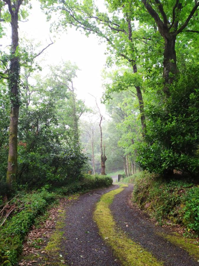 Les Gites Des Beaux Chenes Mortagne-sur-Sevre Ngoại thất bức ảnh